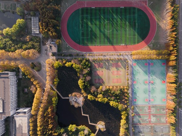 Top Ergonomic Hacks for Cyclists: Banish Wrist Pain and Enhance Your Riding Experience